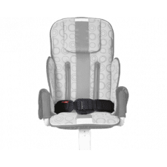 2-точечный ремнь