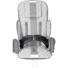 4-точечный ремень