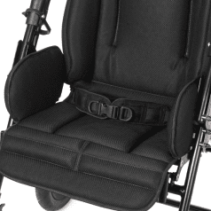 2-точечный ремень