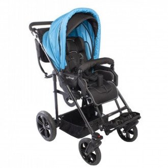 Детская прогулочная коляска ДЦП Liwcare Modi Buggy на раме Rico в  Детская прогулочная коляска ДЦП Liwcare Modi Buggy на раме Rico в