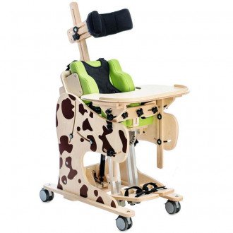 Детская комнатная кресло-коляска Akcesmed Dalmatian Invanto Dt-2 в  Детская комнатная кресло-коляска Akcesmed Dalmatian Invanto Dt-2 в