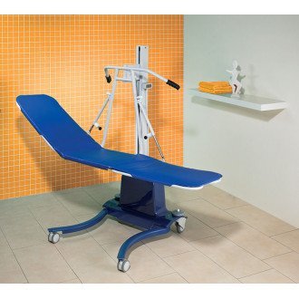 Подъемник инвалидов Elli-Variant в  Подъемник инвалидов Elli-Variant в